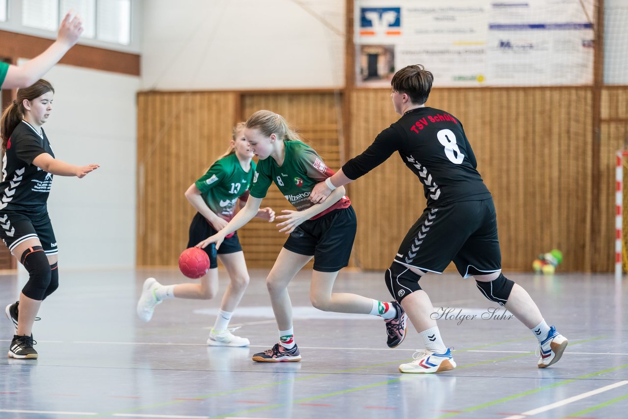 Bild 233 - wDJ HSG Kremperheide/Muensterdorf - TSV SR Schuelp : Ergebnis: 26:5